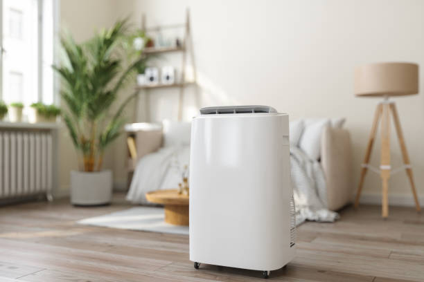 Best Air Quality Test  in Mclendon Chisholm, TX